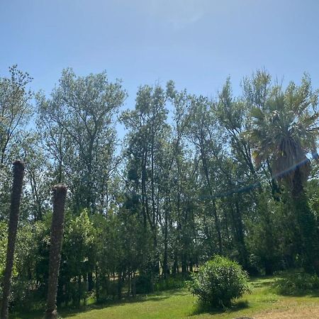 Chalet En Pleine Nature La Roquette-sur-Siagne 外观 照片