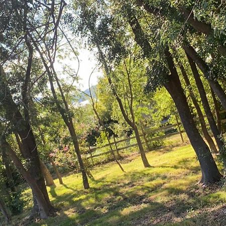Chalet En Pleine Nature La Roquette-sur-Siagne 外观 照片
