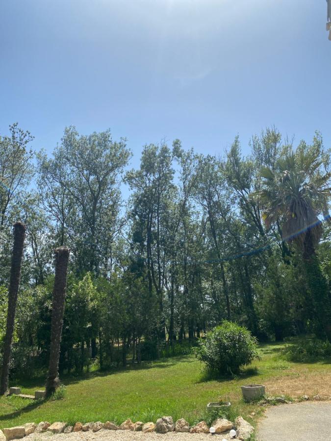 Chalet En Pleine Nature La Roquette-sur-Siagne 外观 照片